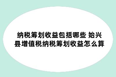 纳税筹划收益包括哪些 始兴县增值税纳税筹划收益怎么算